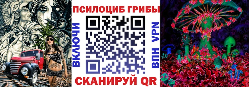 Галлюциногенные грибы Magic Shrooms  Купить закладки  Курильск 