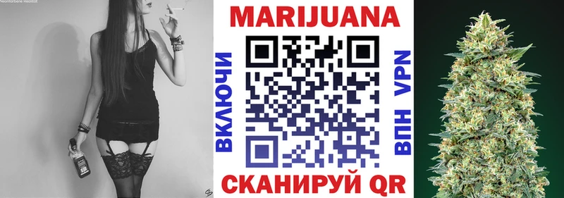 Марихуана планчик Купить Курильск